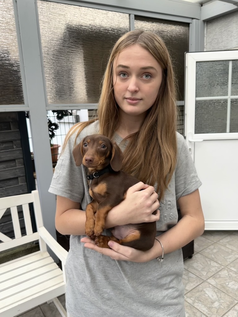 Emily im Kleid
